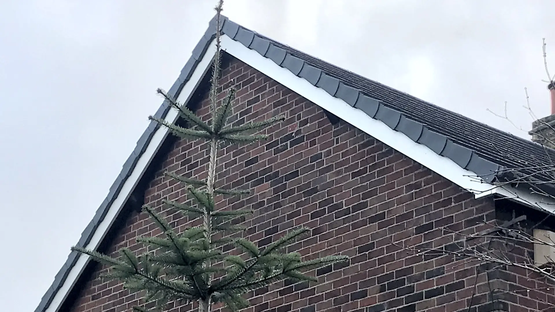 Roofline Services